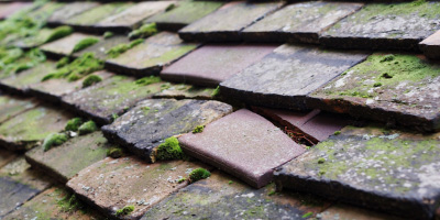 Kintore roof repair costs